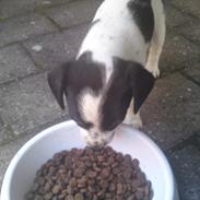 Blanding af racer Marley