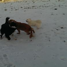 Blanding af racer Angel