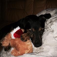 Blanding af racer Rambo