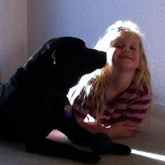 Labrador retriever Dalkjærs Diso