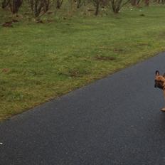 Blanding af racer Silas