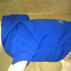 Olde english bulldogge Bulder