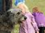 Irsk ulvehund Azimut - Sharing sweet secrets <3