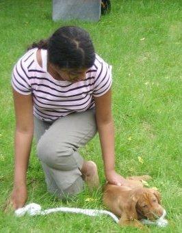 Vizsla Caro Vom Echienhain  R.I.P<3 billede 7