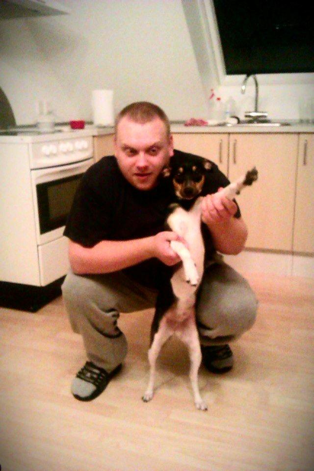 Dansk svensk gaardhund Laika billede 5