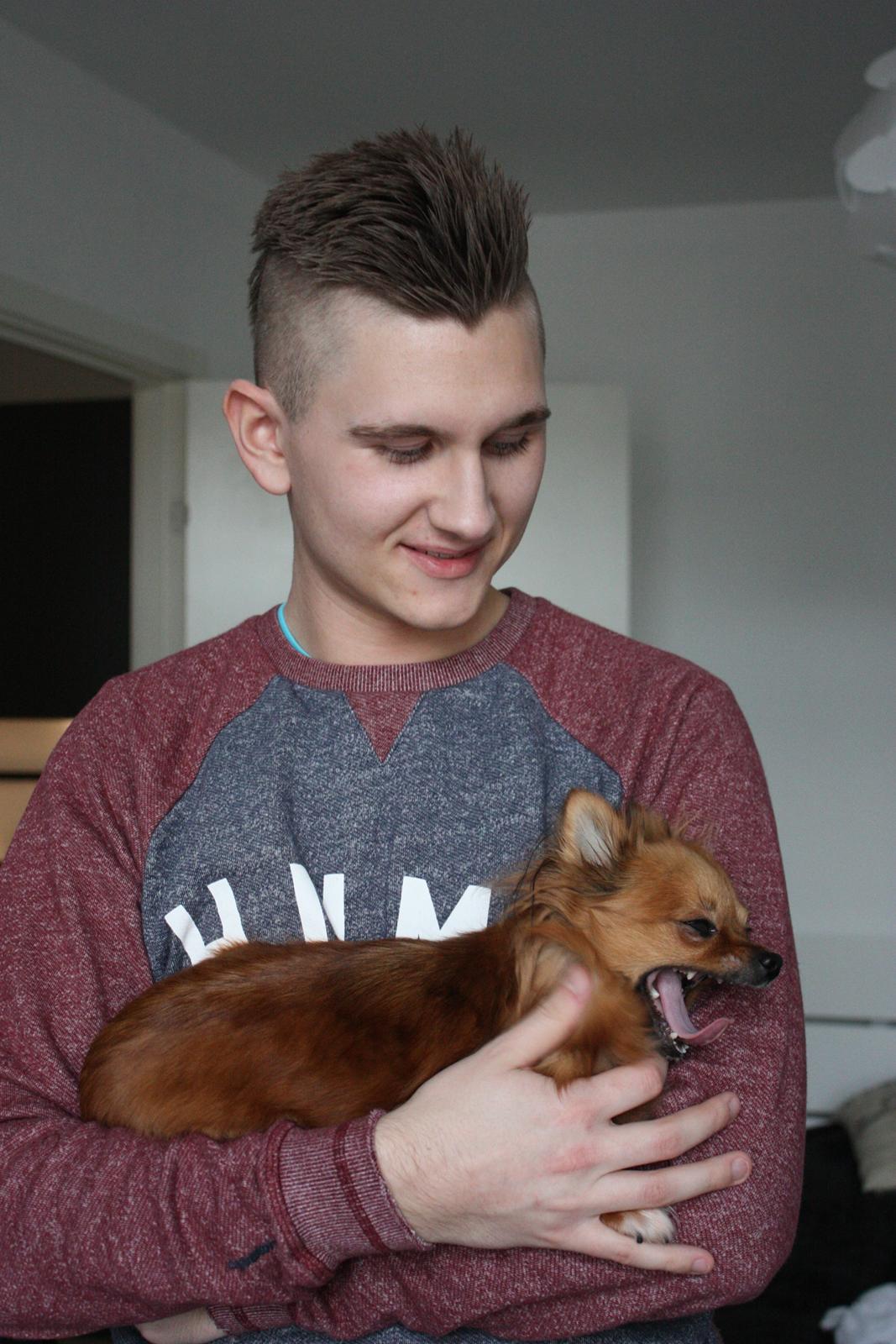 Blanding af racer Kaya billede 24