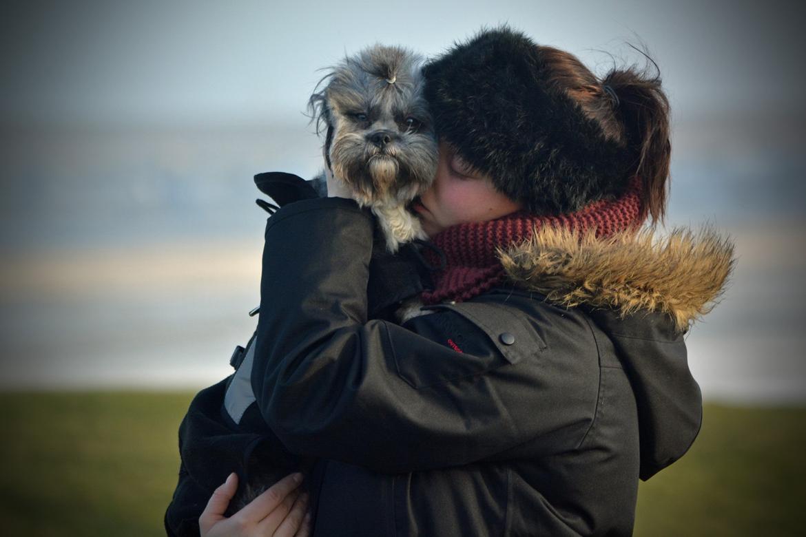 Blanding af racer Bianca R.I.P 4. februar 2014 billede 29