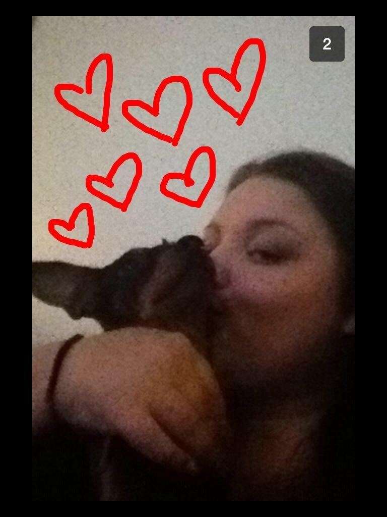 Dvaergpinscher Lady billede 20