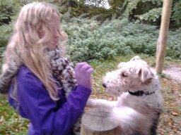 Ruhåret foxterrier <3 Lola <3 - Vær flot GG <3 billede 16