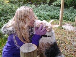 Ruhåret foxterrier <3 Lola <3 - Et kys til den smukkeste hund i verden<3 billede 22