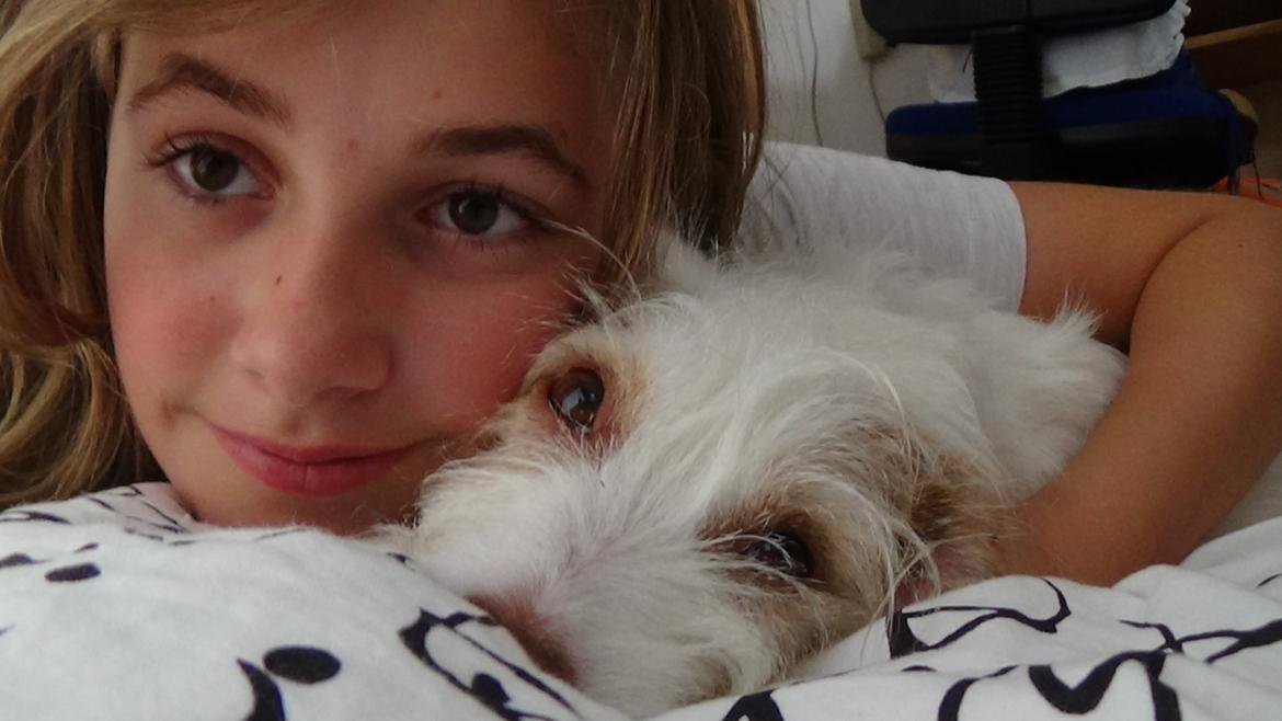 Jack russell terrier Coco billede 27