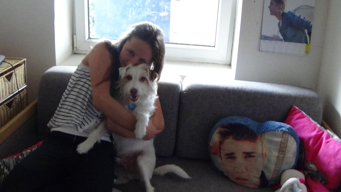 Jack russell terrier Coco billede 31