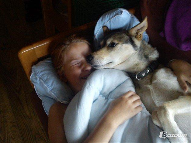 Blanding af racer Bonnie billede 1