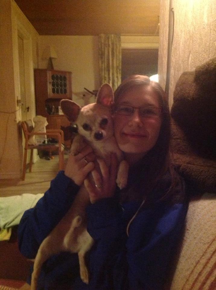 Chihuahua Kessler billede 25