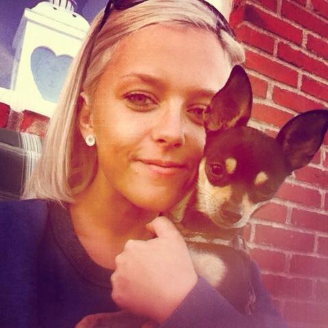 Chihuahua Tino - Elsker min dreng <3 billede 7