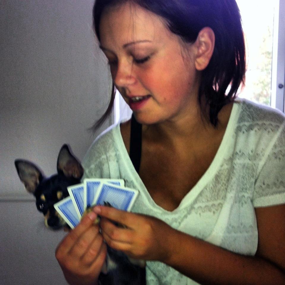 Chihuahua Tino billede 16