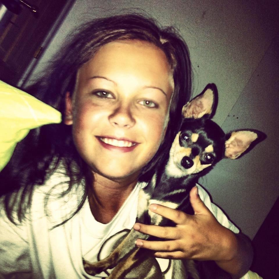 Chihuahua Tino billede 38