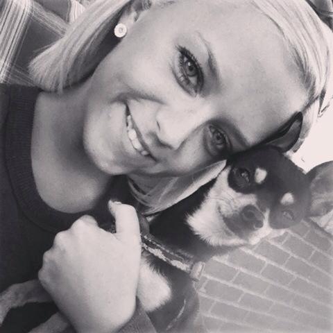 Chihuahua Tino billede 32