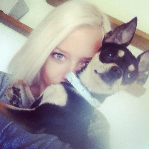 Chihuahua Tino billede 39