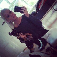 Blanding af racer Balou. billede 4