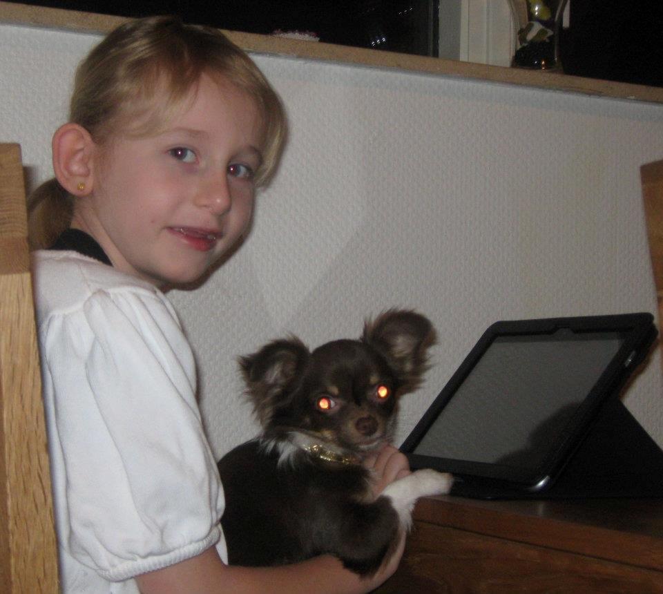 Chihuahua High Fly Cho Ka La billede 7