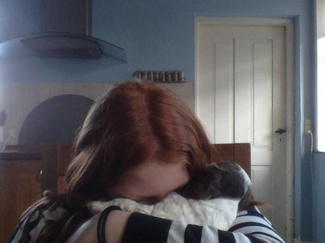 Field Trial spaniel Laban tidliger hund - Så er der ikke mer´ for den her gang. Vi er trætte og skal sove:) billede 29