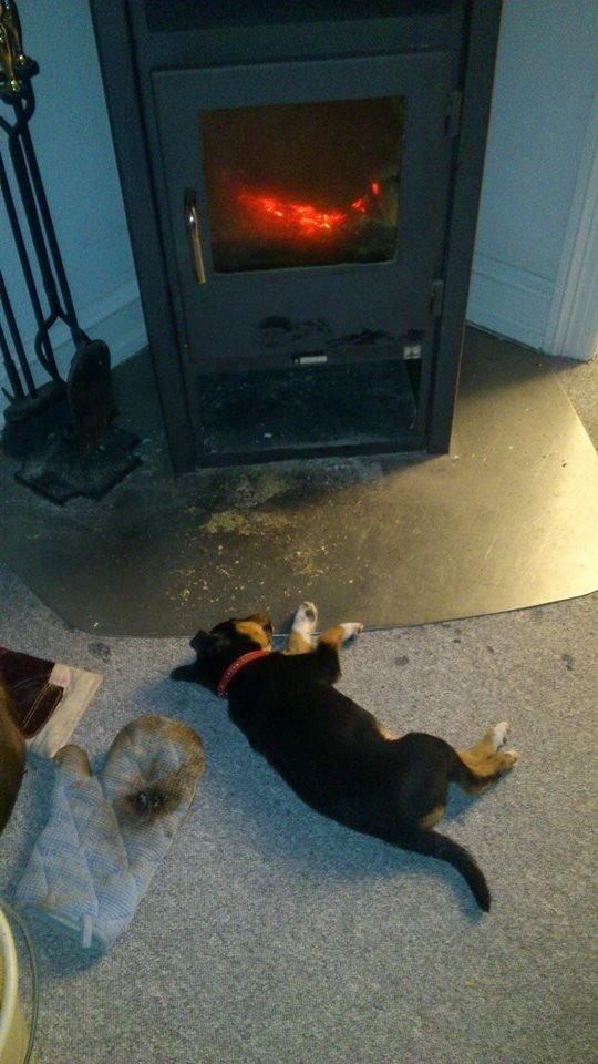 Blanding af racer reba billede 11