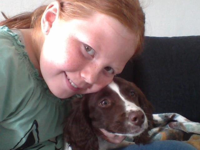 Field Trial spaniel Laban tidliger hund - Selfie med mor! billede 8