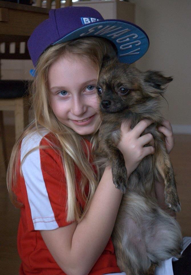 Chihuahua Vivien del Modisto - Line og Gaia billede 8