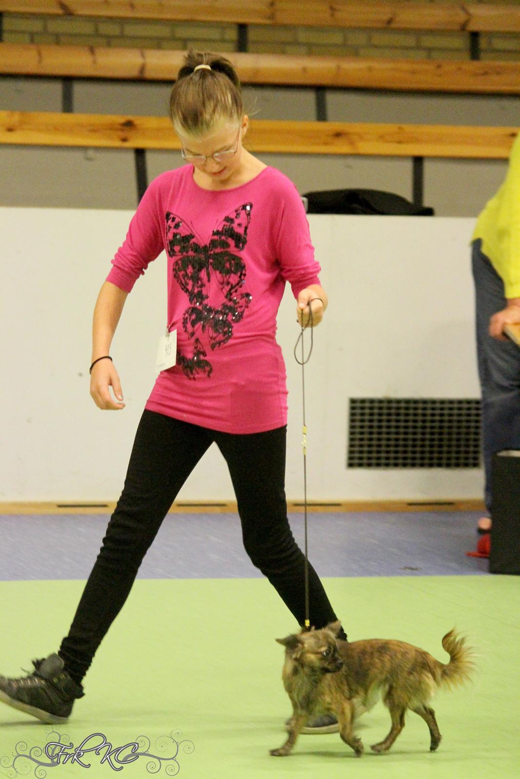 Chihuahua Vivien del Modisto - Debbi og Gaia billede 13