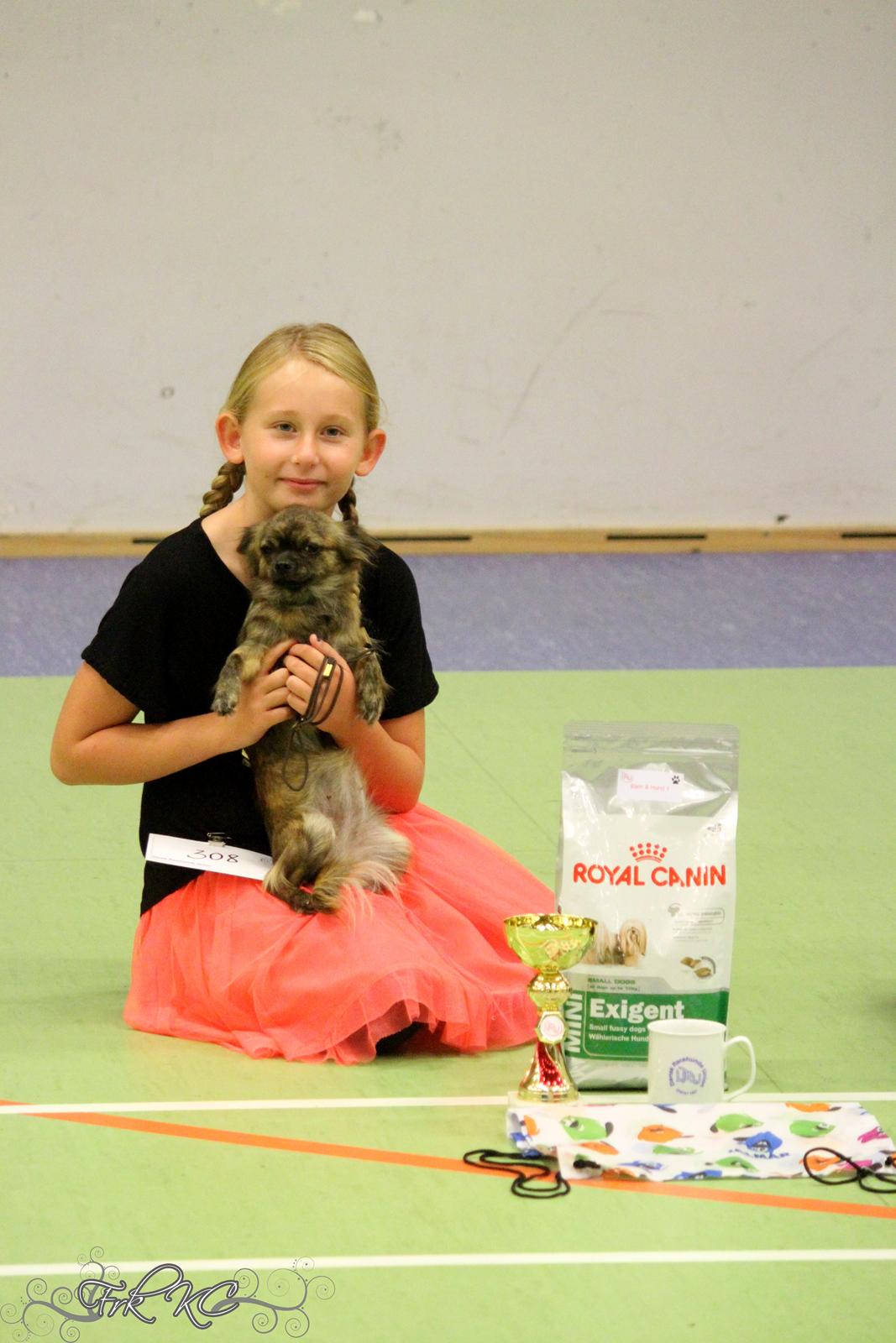 Chihuahua Vivien del Modisto - Line og Gaia 1. vinder hos DRU i Barn og hund :D billede 14