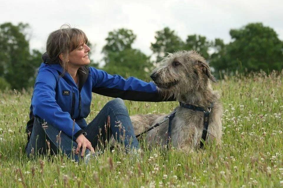 Irsk ulvehund Nova - Nova og mor 2013 billede 9