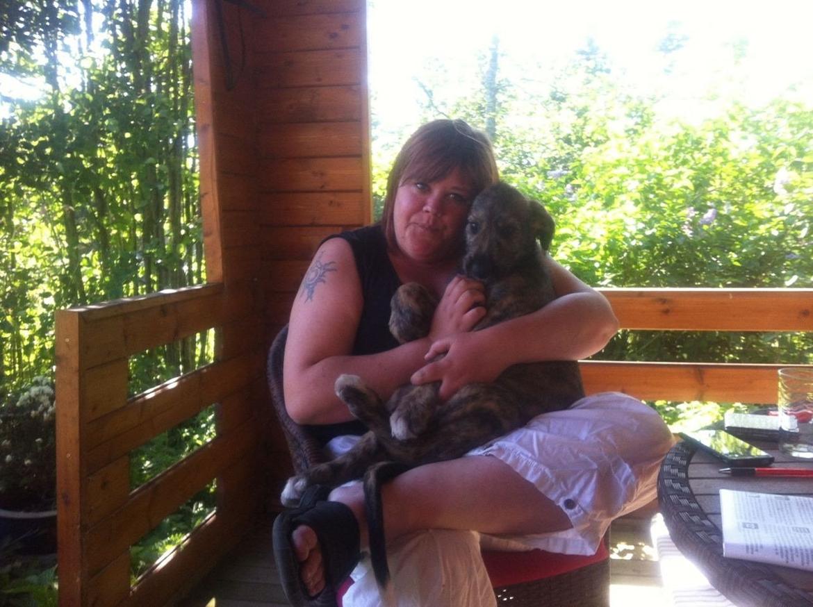 Irsk ulvehund Nova - Farvel til min opdrætter <3  billede 10