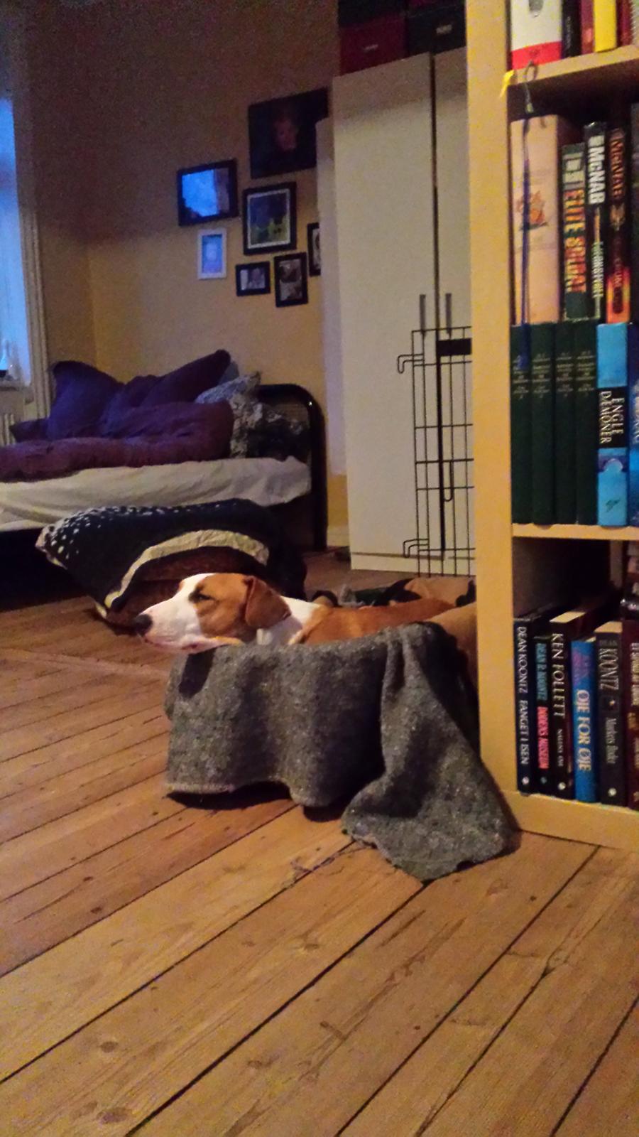 Blanding af racer Vega billede 38