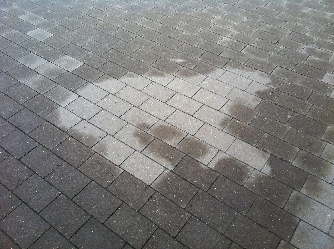 Irsk ulvehund Sirius - Her har jeg ligget i støvregnen på terrassen og mor får et billede af mit aftryk billede 26