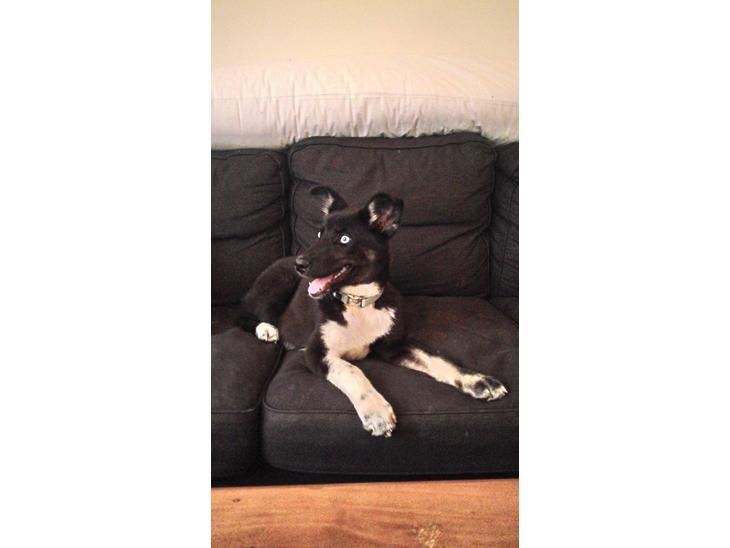 {{currentPhoto.altText}} billede {{currentPhoto.number}}