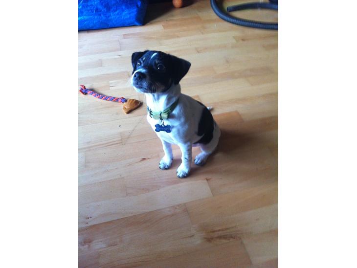 {{currentPhoto.altText}} billede {{currentPhoto.number}}