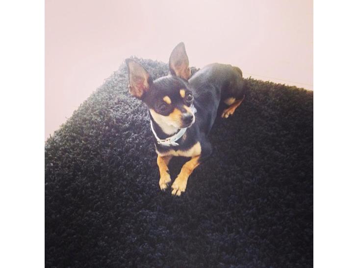 {{currentPhoto.altText}} billede {{currentPhoto.number}}