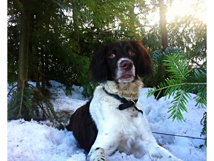 {{currentPhoto.altText}} billede {{currentPhoto.number}}