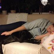 Blanding af racer Gismo