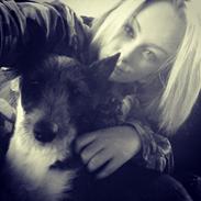 Blanding af racer Kenzo