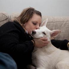 Blanding af racer Cherokee/Dutten