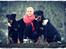 Beauceron Satchmo`s Yappi