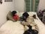 Griffon petit brabancon ONIKA - elizabeth,chantel og hund onika
