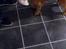 Cocker spaniel Nova - Nova med en madpandekage som hun troede var legetøj og ikke mad ;-)