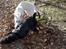 Blanding af racer Trixi (tidl hund)