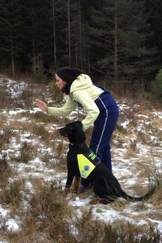 Beauceron Blackbossy's Angelite  aka "Snooki" - Snooki skal rundere billede 7