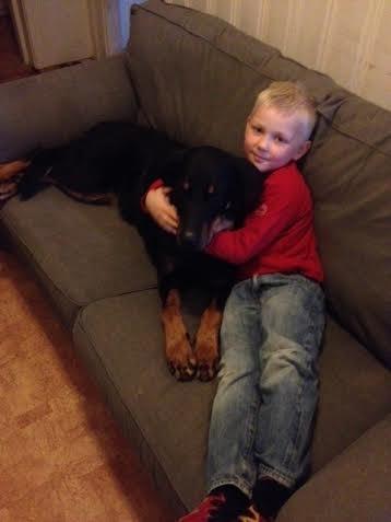 Beauceron Satchmo`s Yappi - en riktig god familie hund billede 9