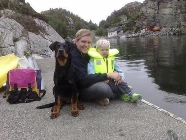 Beauceron Satchmo`s Yappi - Yappi som liten ungdom, passer allerede på sin flokk billede 20