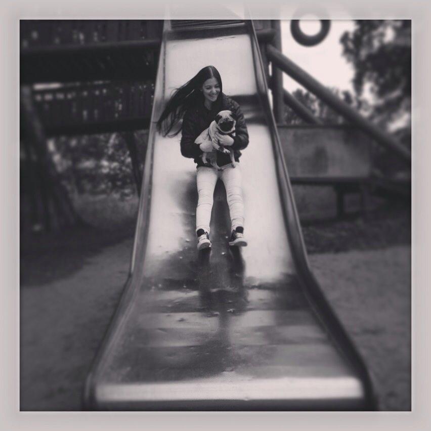 Mops Minnie billede 20